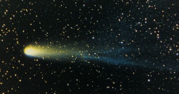 halleys comet