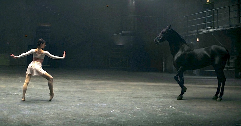 horse ballerina