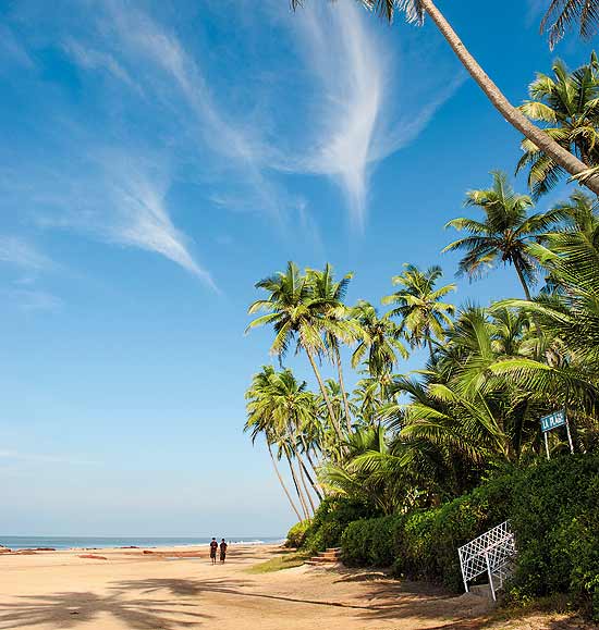 seafood in Goa