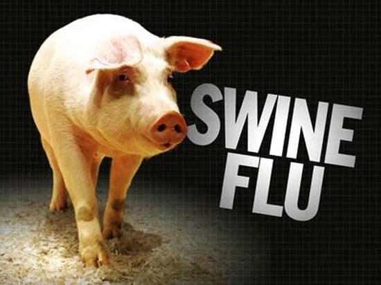 Swine flu